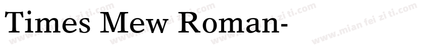 Times Mew Roman字体转换